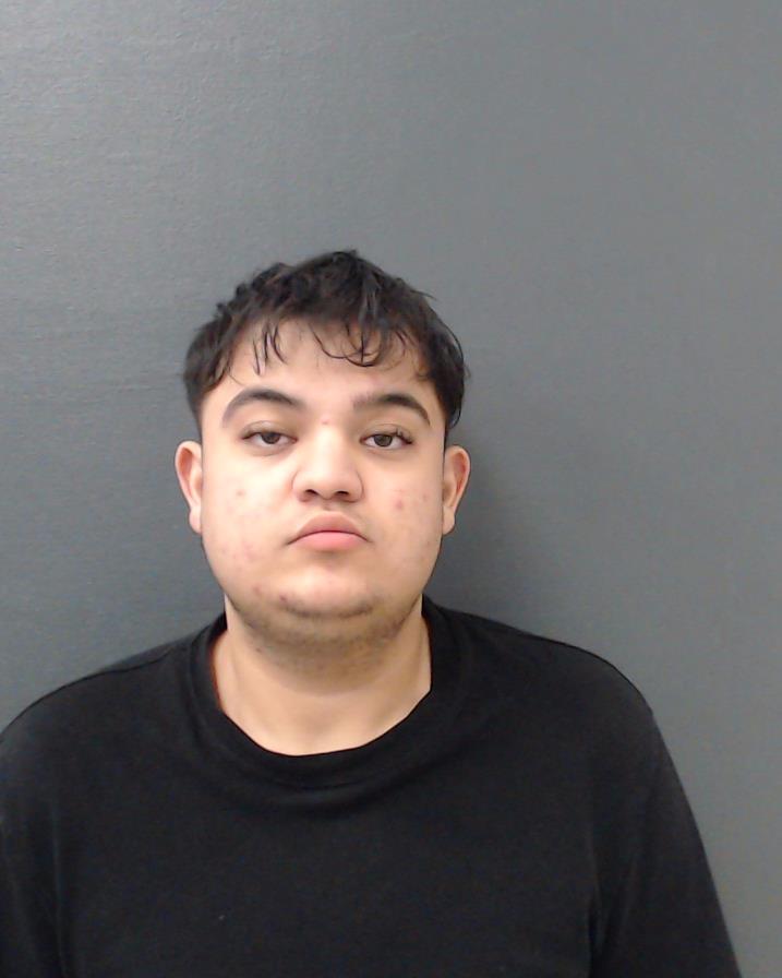 BERBEC, STEFAN ALIN booking photo