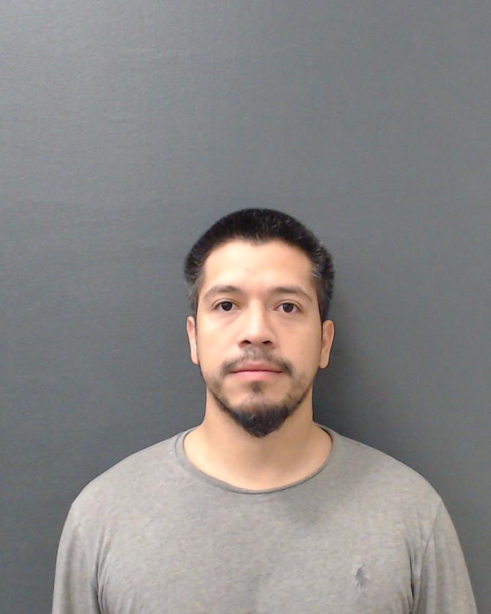 DE LA PAZ, ALAN AVELAR booking photo