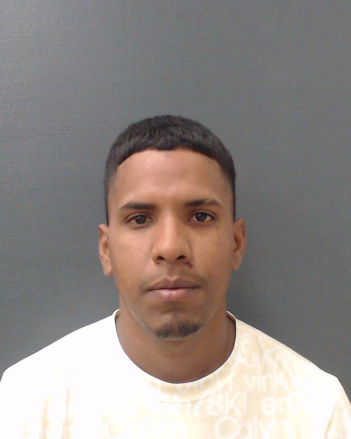 RUIZ-PINEDA, ADONIS ALEJANDRO booking photo