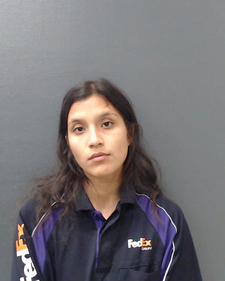 CAMARILLO, ANGELICA MARIA booking photo