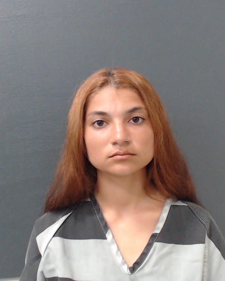 SIMION, NATASA booking photo