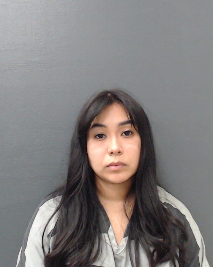 DIAZ, ERICA NICOLE booking photo