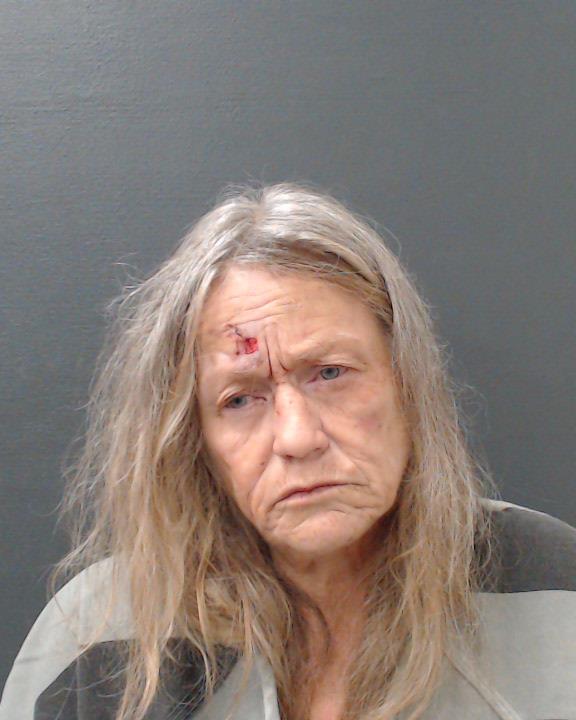 SAURAGE, SUSAN BREWER booking photo