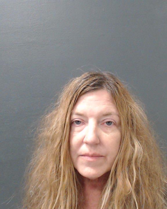 DOSTALIK, HOLLY MARIE arrested by Comal County SO/PD