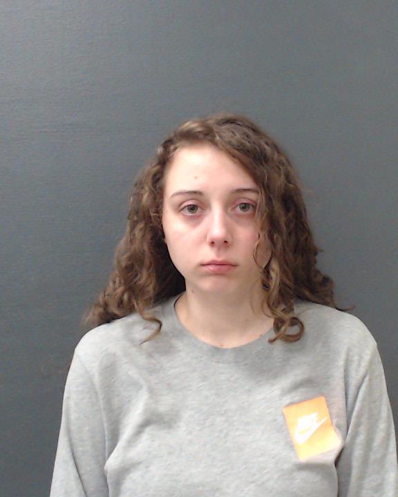 WILSON, HEIDI BREANNE booking photo