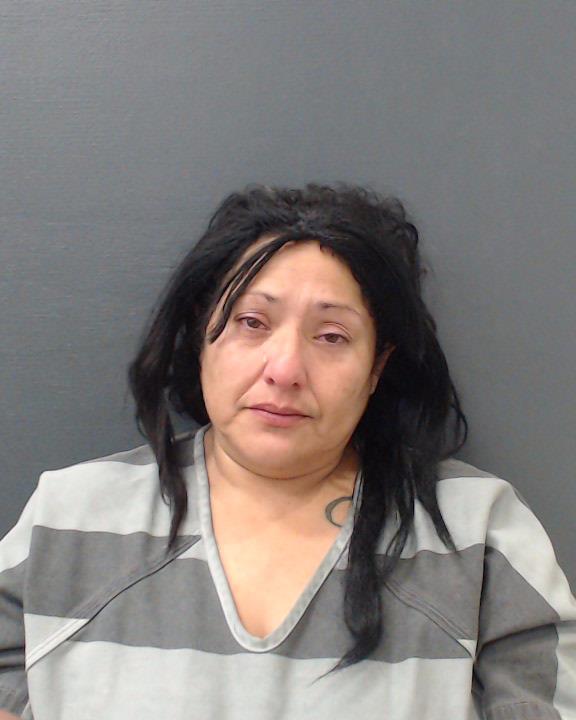 CASTILLO-ALFARO, VERONICA LISSETTE booking photo