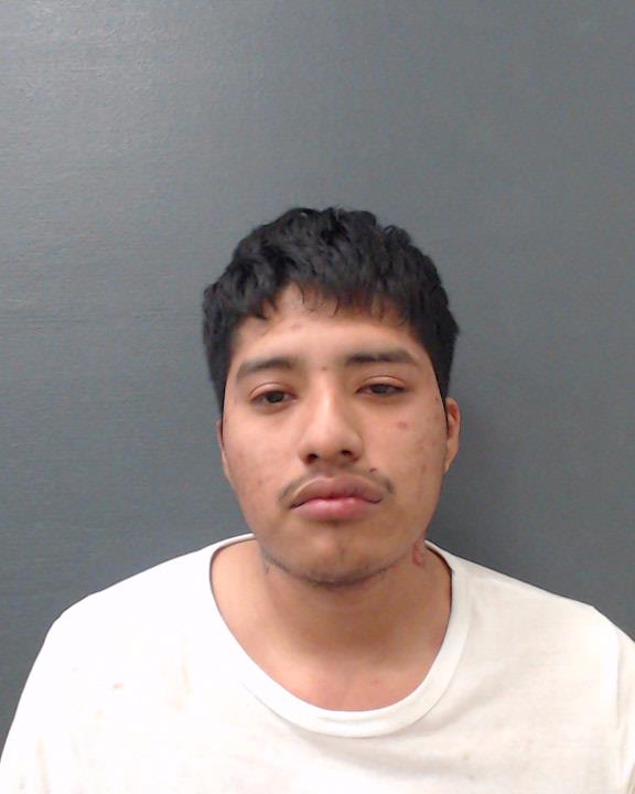 SOTO, GUADALUPE booking photo