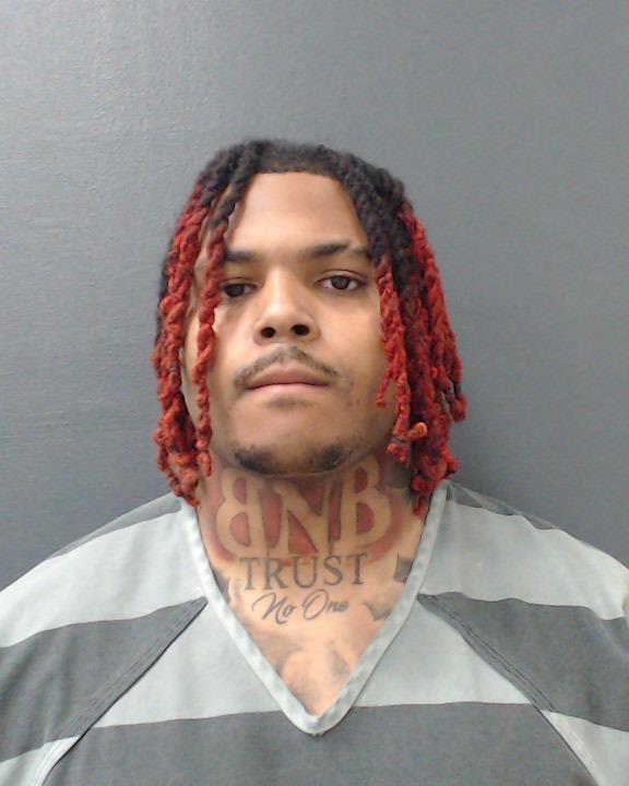 BROWN, NICHOLAS RYAN booking photo