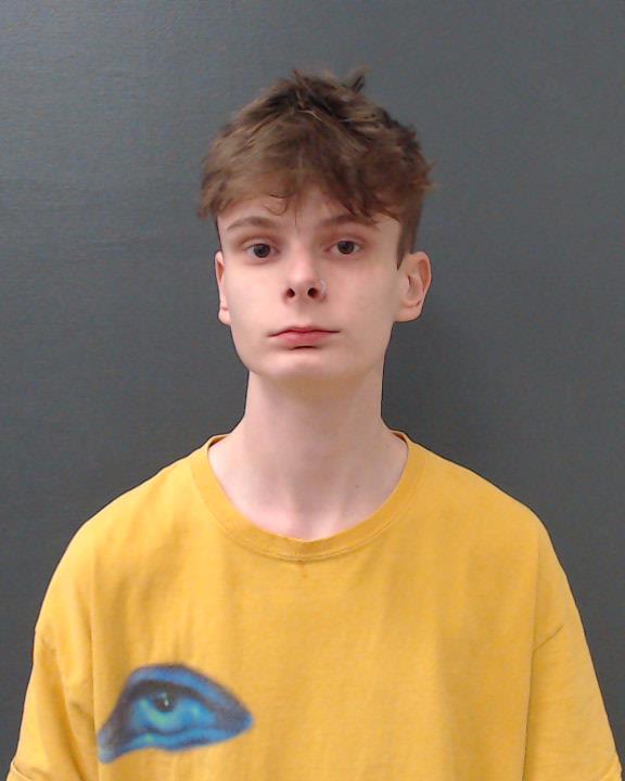 HARDIN, SETH ADAM booking photo