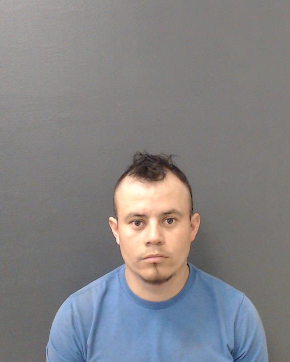 REYES FLORES, JOSE NELSON booking photo