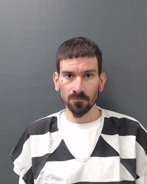 TERRY, ASHTON LEE booking photo