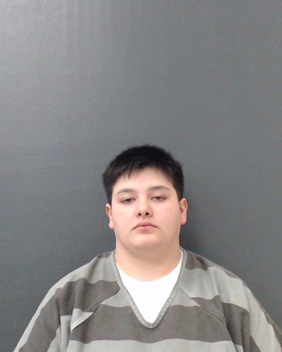 VILLA, ARIANNA ELENA booking photo