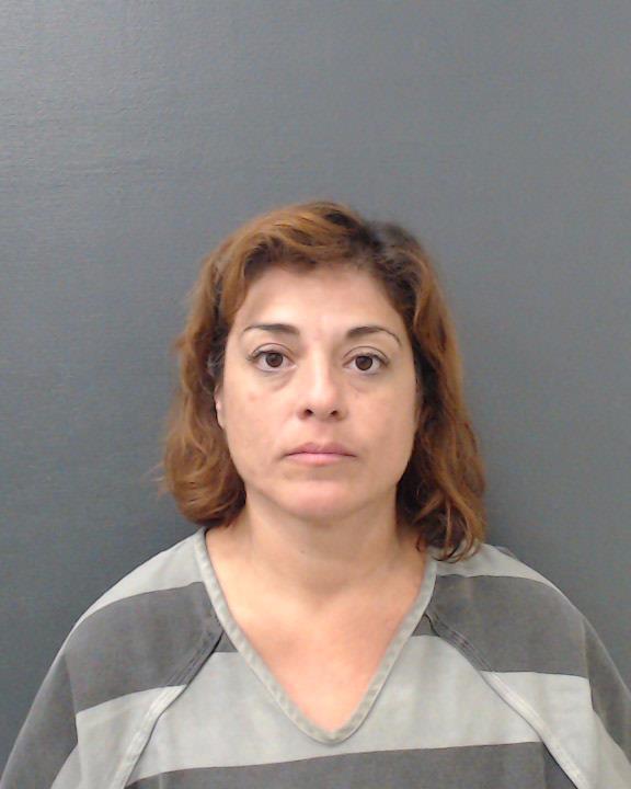 GINGRICH, THERESA BETH booking photo