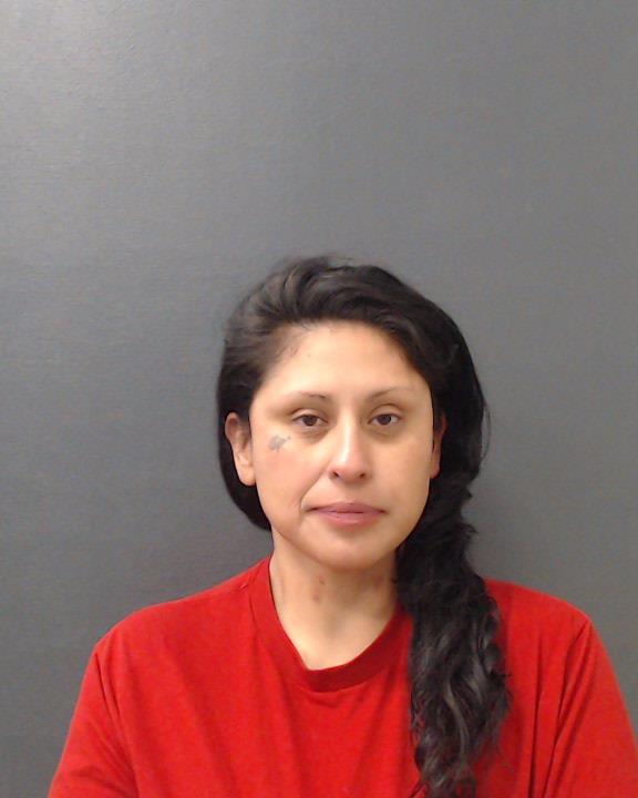 GARCIA, FRANCISCA LUISA booking photo