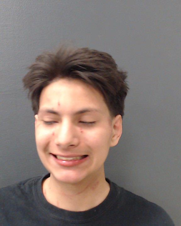 MEDINA, PARIS TRISTAN booking photo