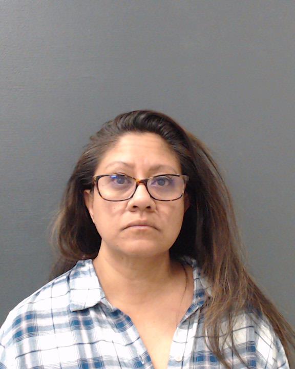 CASTILLEJA, JULIE ANN booking photo