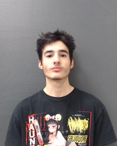 PIKE, JARED DAMON booking photo