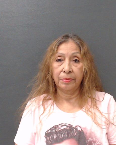 GAMEZ, ELIZABETH LOPEZ booking photo