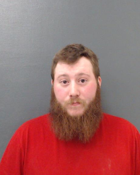 BEDFORD, MATTHEW STEVEN booking photo