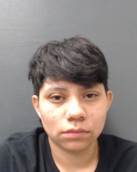 MARTINEZ, SUZETTE booking photo