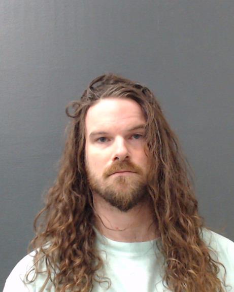 HERBERG, DAVISON MICHAEL booking photo