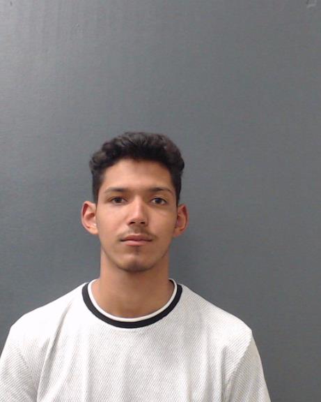 CARO GARCIA, DANIEL DAVID booking photo
