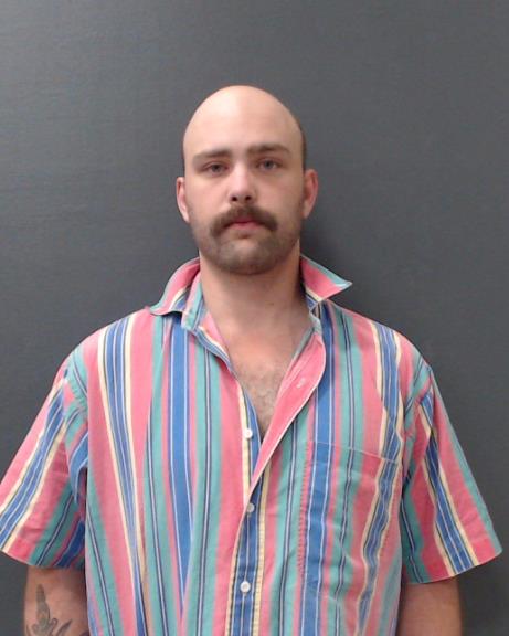 MCDANIEL, GABLE BLAYNE booking photo