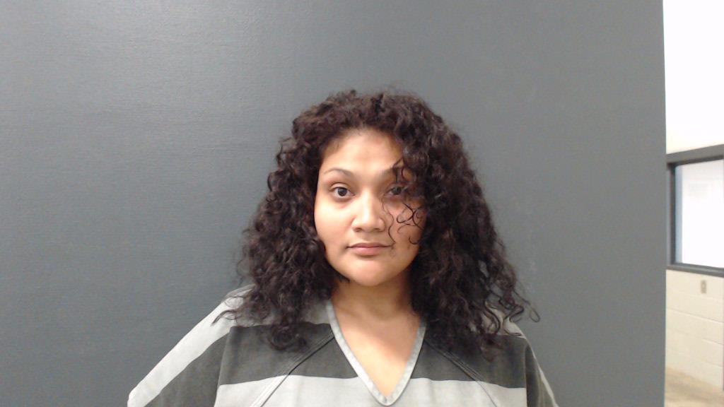 SANCHEZ, ROXANNE booking photo