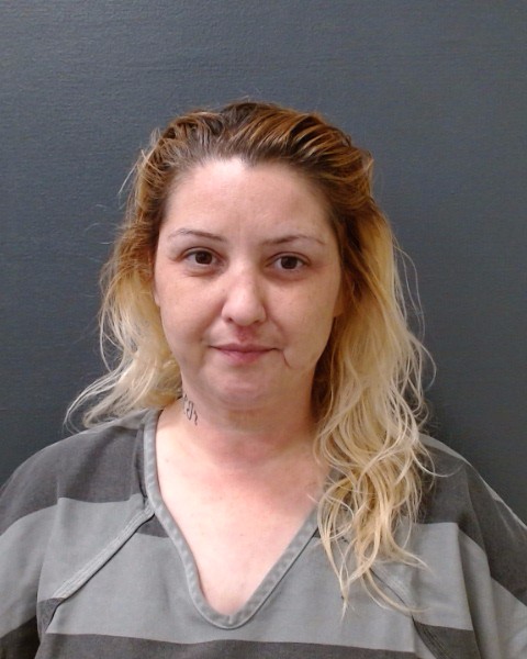 SAVAGE, ASHLEY NICOLE booking photo