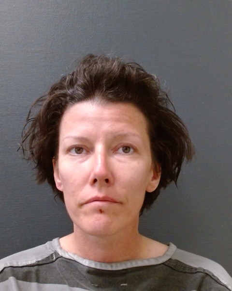 TATE, BRANDI ELIZABETH booking photo