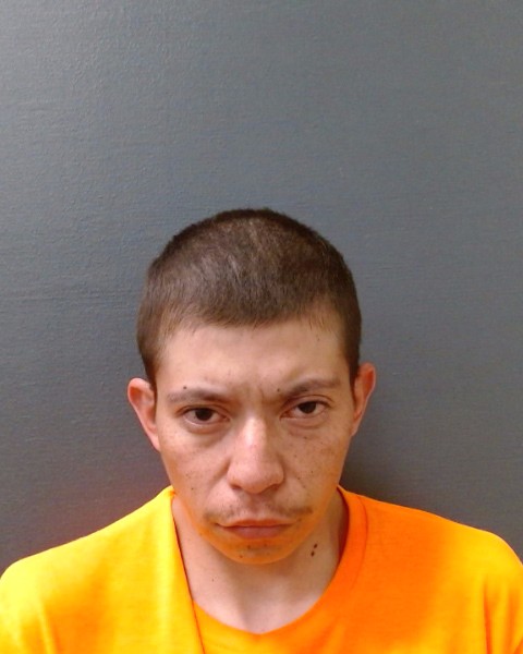 TEJADA, NILTON booking photo