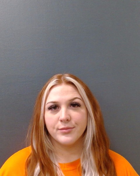 VAJRETTI, MEGHAN CAROLINE booking photo