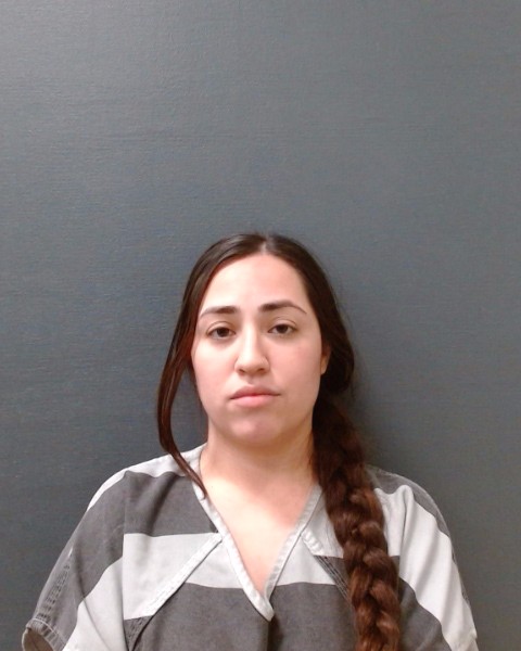 LOPEZ, ALYSSA ANIZETTE booking photo