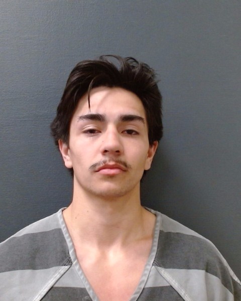 LUCAS, CAMERON PATRICK booking photo