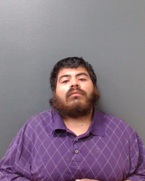 ALEMAN, FRANCISCO MARTIN booking photo