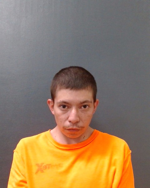 TEJEDA, NILTON booking photo