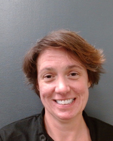 HODGES, LAURA KAY booking photo