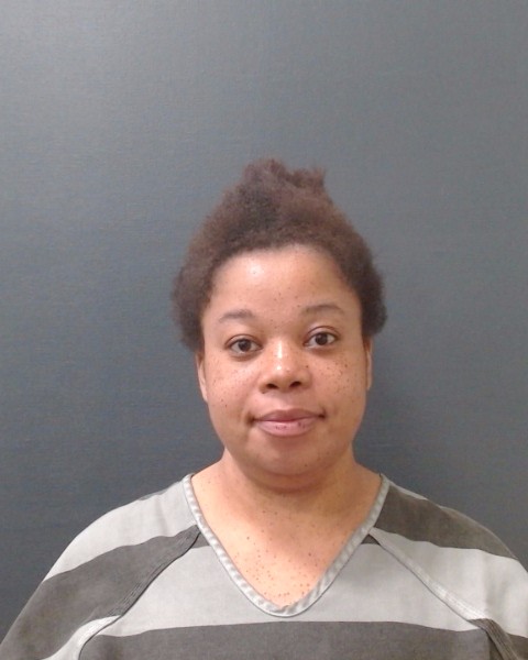 THREADGILL-DRYDEN, TAYLOR MARIE ARMSTRONG booking photo