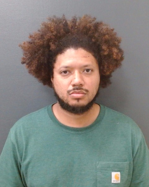 GOYINS, ANDRE DEMON, Jr. booking photo