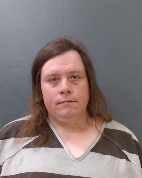 MADL, JAMES LEE booking photo