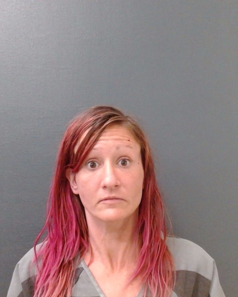 THOMPSON, HANNAH KELLEY booking photo