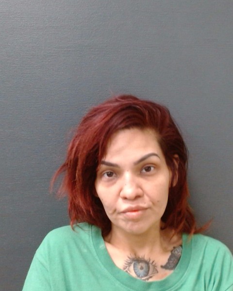 VASQUEZ, DENISE ANN booking photo