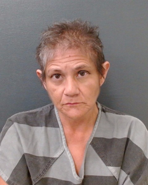 NARVAIZ, TARA LUCINDA booking photo