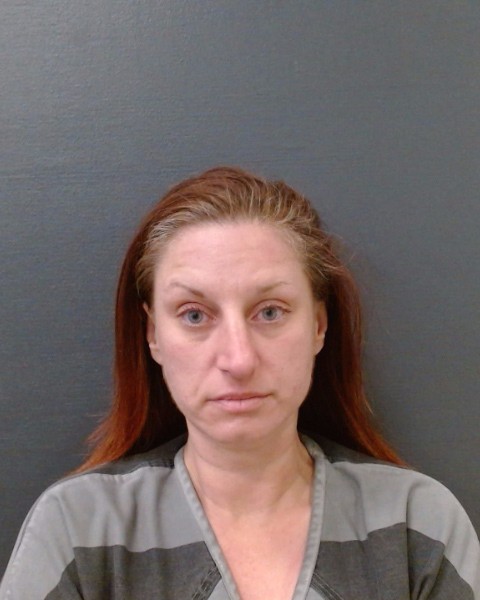 JOHNSON, SHELBI MICHELLE booking photo