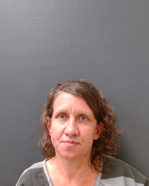 WILLIAMS, AMANDA LYNN booking photo