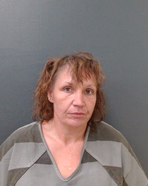 STEEN, CRYSTAL JANELLE booking photo