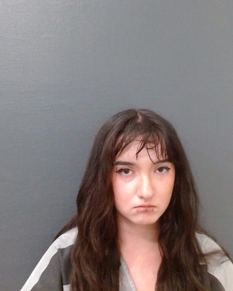 TREVINO, ALINA booking photo
