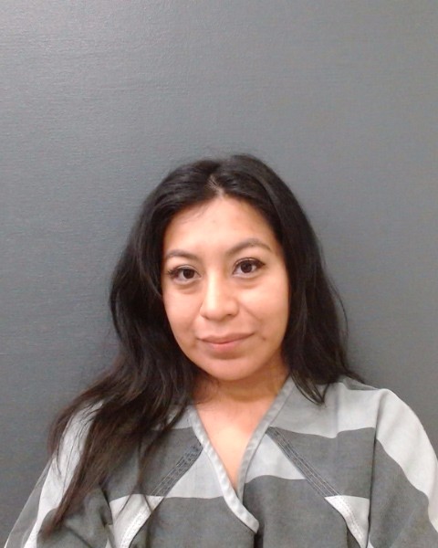 RAMIREZ, DAISY booking photo