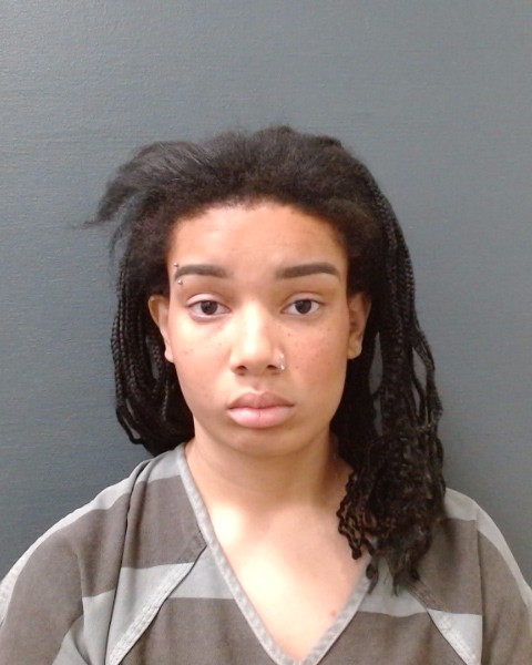 ZOLTAK, SHARON MICHELLE booking photo