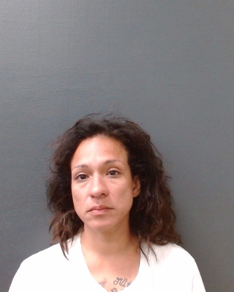 PEREZ, VERONICA RENEE booking photo